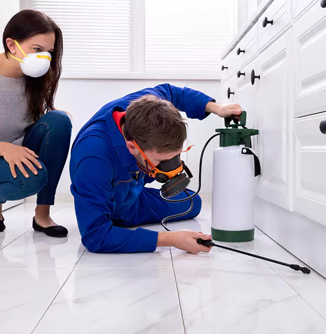Why White City, OR Homeowners Trust White City Pest Control Pro for Roach Control?