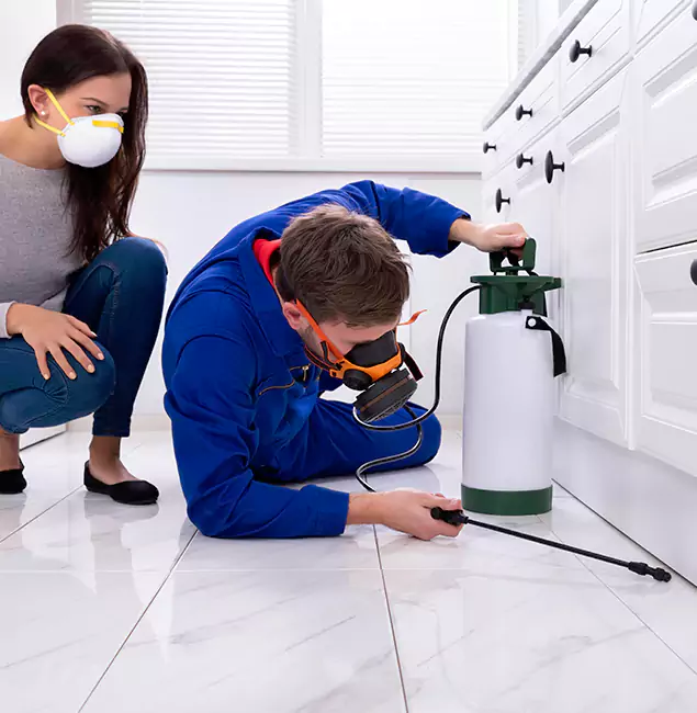 Why Choose Wood Termite Treatment by White City Pest Control Pro in White City, OR?