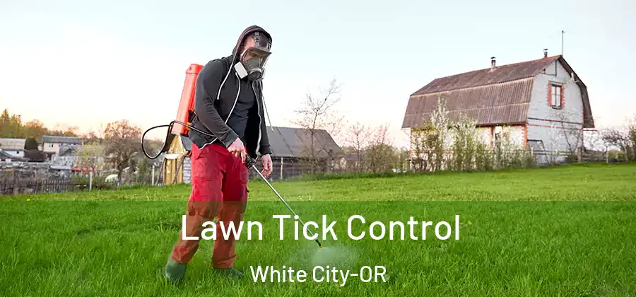 Lawn Tick Control White City-OR