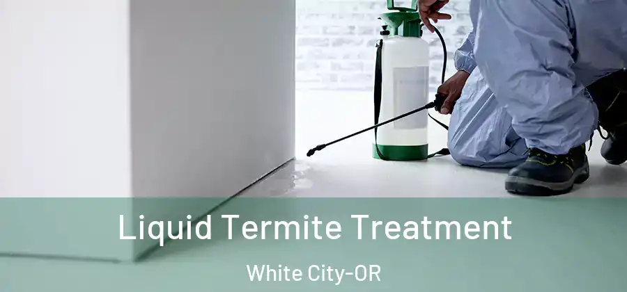  Liquid Termite Treatment White City-OR
