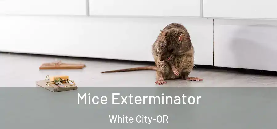 Mice Exterminator White City-OR