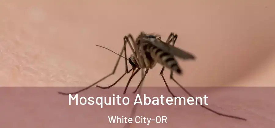 Mosquito Abatement White City-OR
