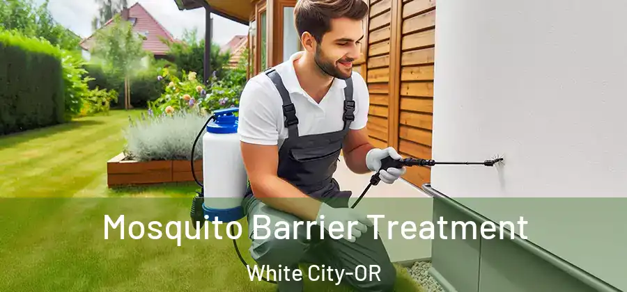 Mosquito Barrier Treatment White City-OR