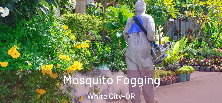 Mosquito Fogging White City-OR