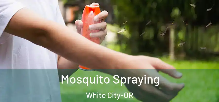 Mosquito Spraying White City-OR