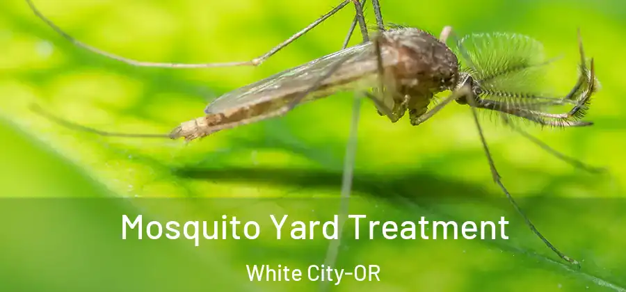 Mosquito Yard Treatment White City-OR