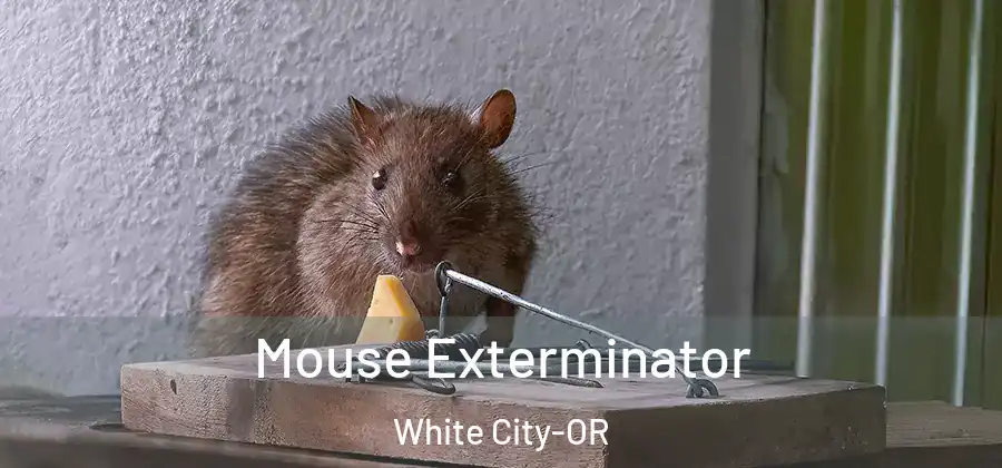 Mouse Exterminator White City-OR