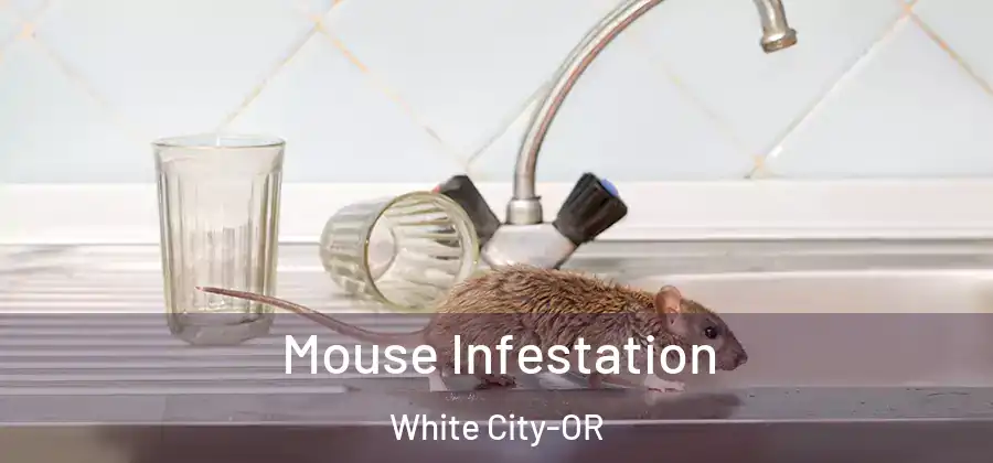  Mouse Infestation White City-OR