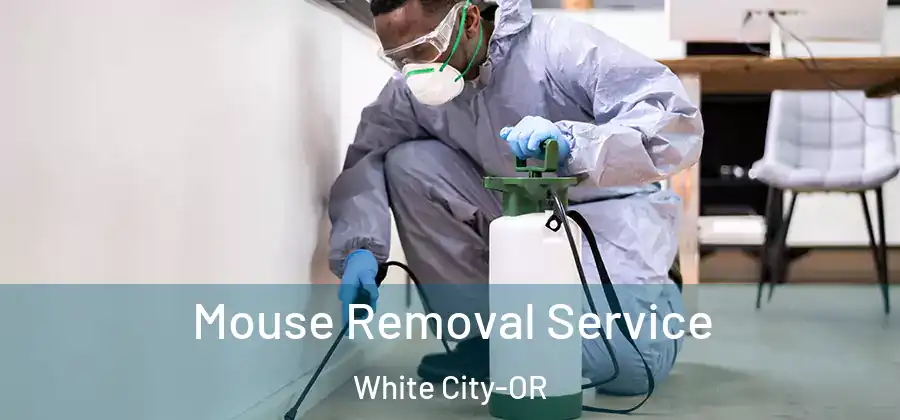 Mouse Removal Service White City-OR