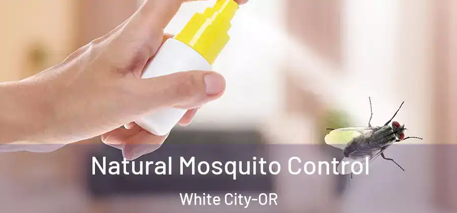 Natural Mosquito Control White City-OR