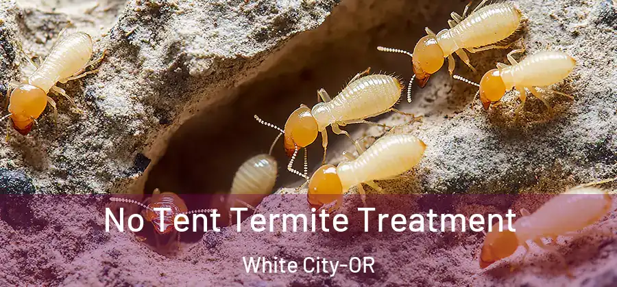 No Tent Termite Treatment White City-OR