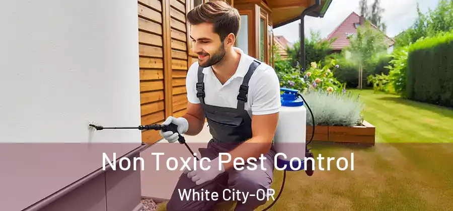  Non Toxic Pest Control White City-OR