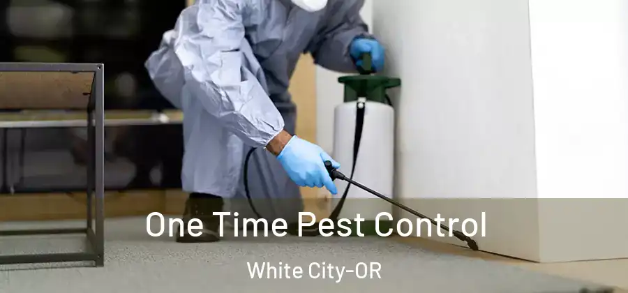  One Time Pest Control White City-OR