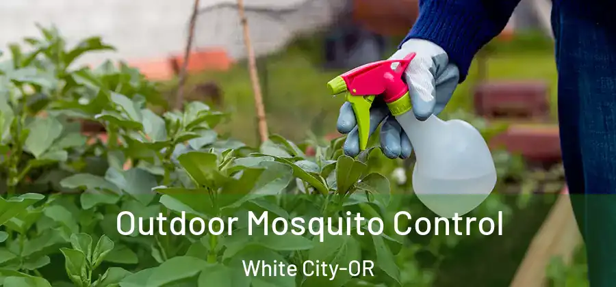 Outdoor Mosquito Control White City-OR