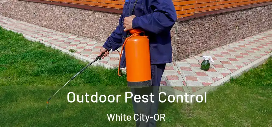  Outdoor Pest Control White City-OR