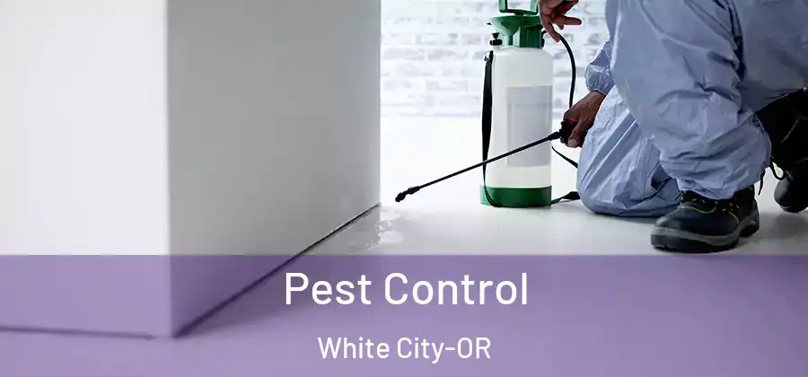 Pest Control White City-OR