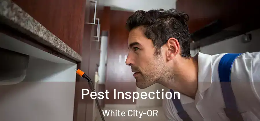  Pest Inspection White City-OR
