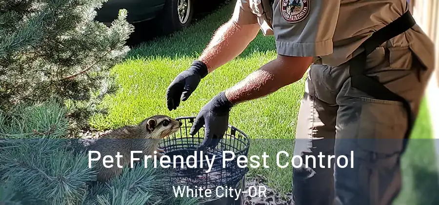 Pet Friendly Pest Control White City-OR