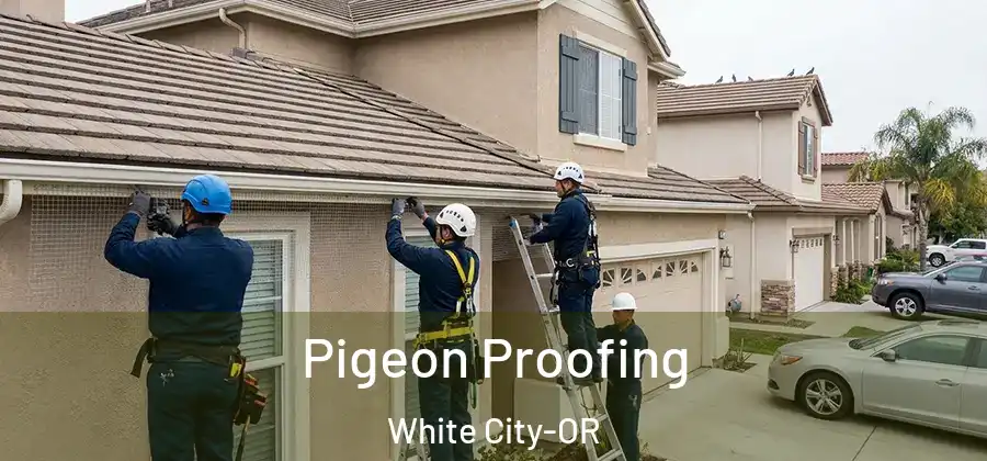 Pigeon Proofing White City-OR
