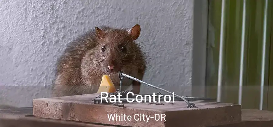  Rat Control White City-OR