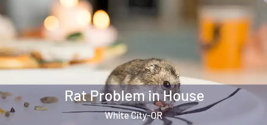  Rat Problem in House White City-OR
