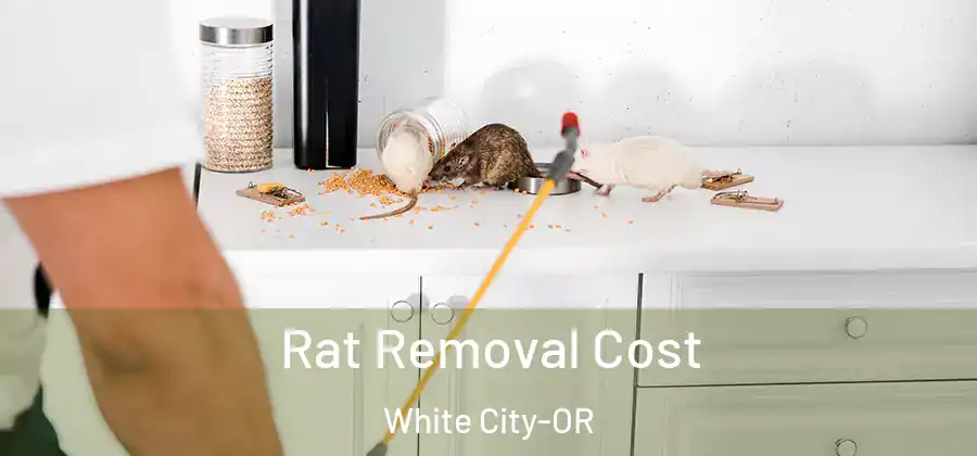 Rat Removal Cost White City-OR