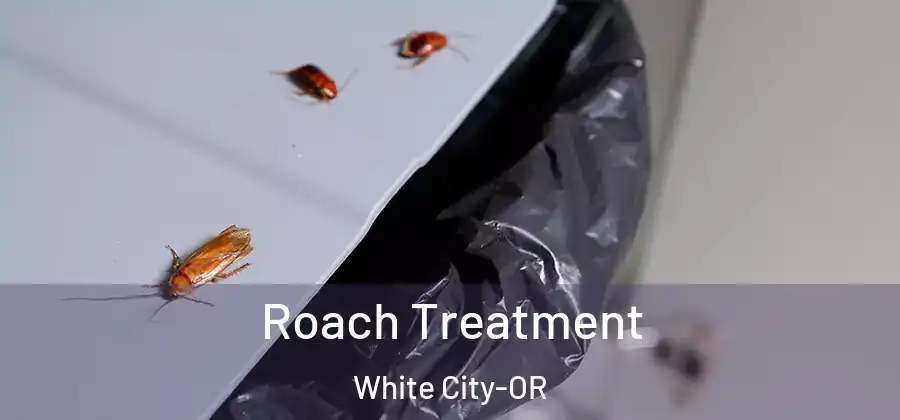 Roach Treatment White City-OR
