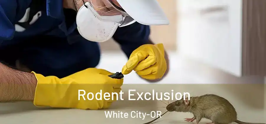 Rodent Exclusion White City-OR