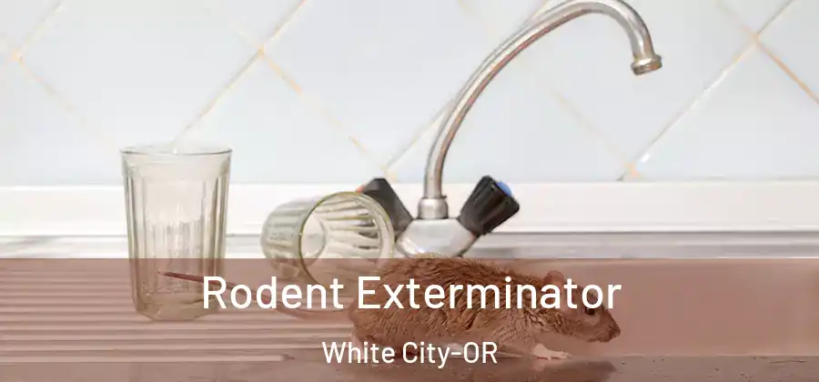  Rodent Exterminator White City-OR
