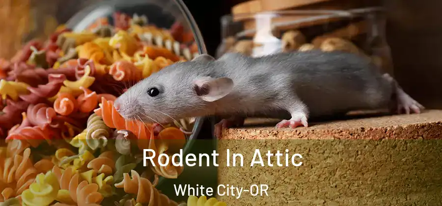 Rodent In Attic White City-OR