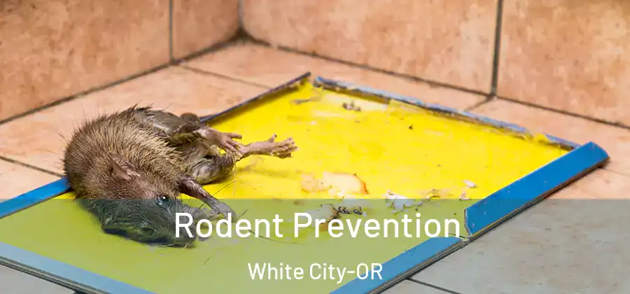 Rodent Prevention White City-OR