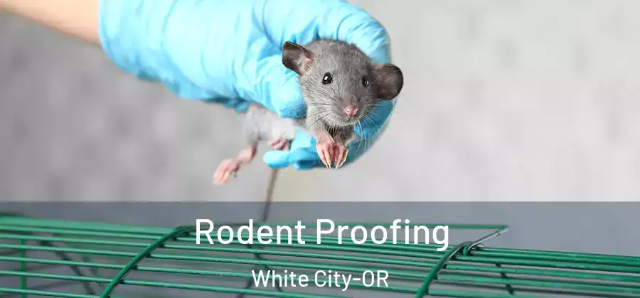  Rodent Proofing White City-OR