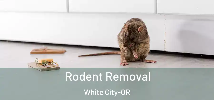 Rodent Removal White City-OR