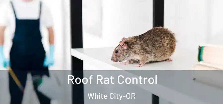 Roof Rat Control White City-OR