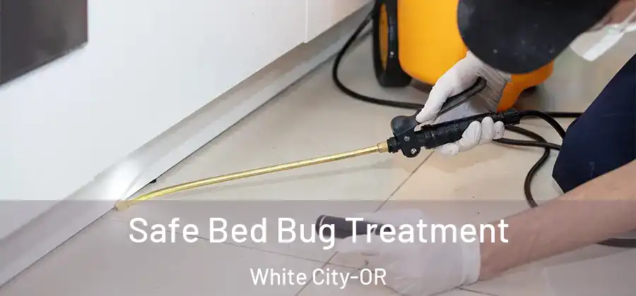 Safe Bed Bug Treatment White City-OR