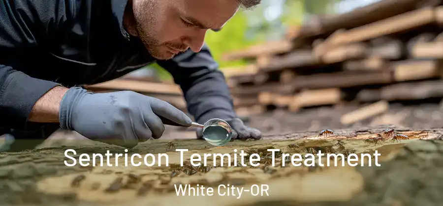  Sentricon Termite Treatment White City-OR