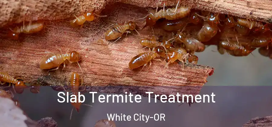 Slab Termite Treatment White City-OR