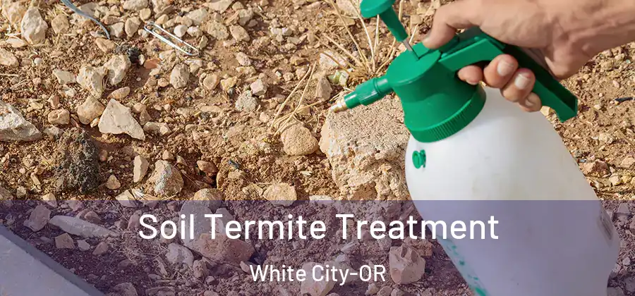  Soil Termite Treatment White City-OR
