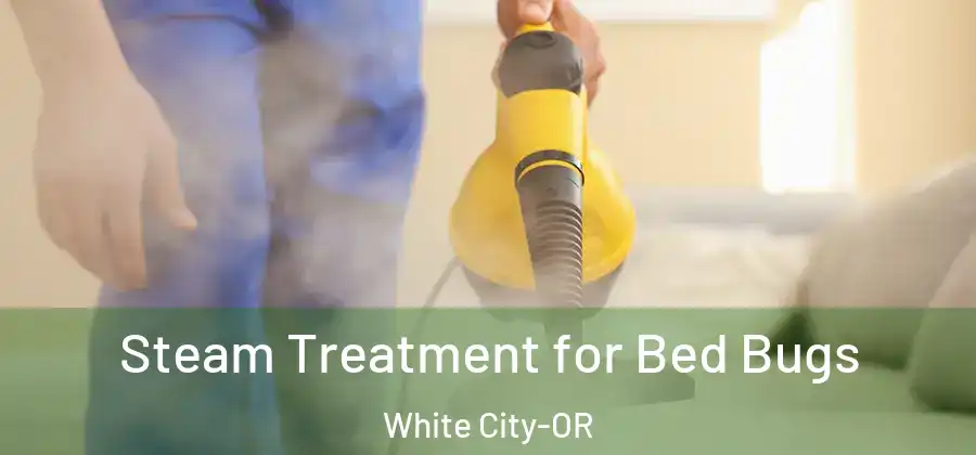  Steam Treatment for Bed Bugs White City-OR