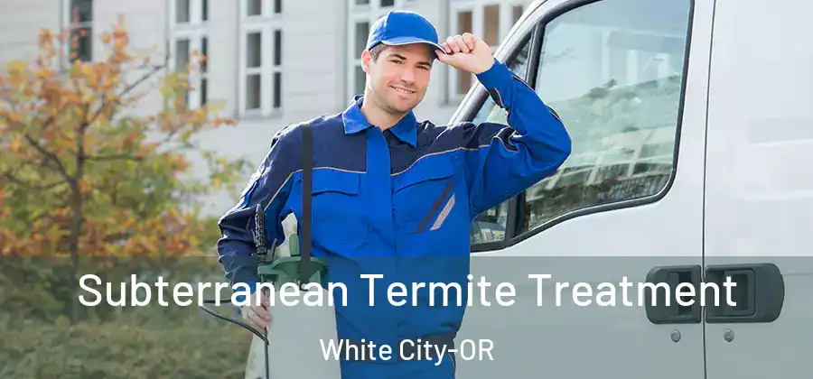  Subterranean Termite Treatment White City-OR