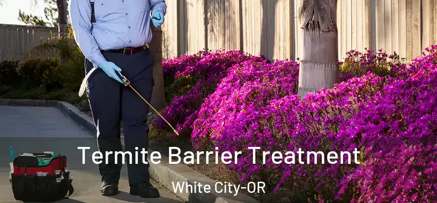 Termite Barrier Treatment White City-OR