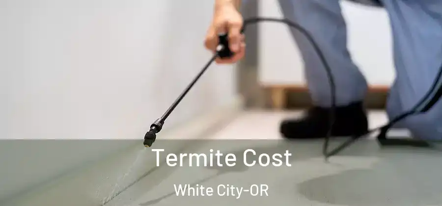  Termite Cost White City-OR