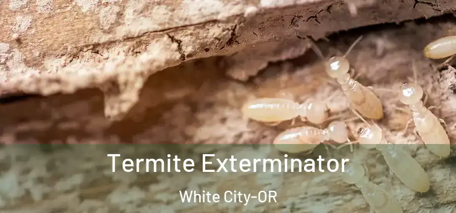 Termite Exterminator White City-OR