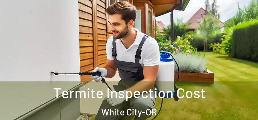 Termite Inspection Cost White City-OR