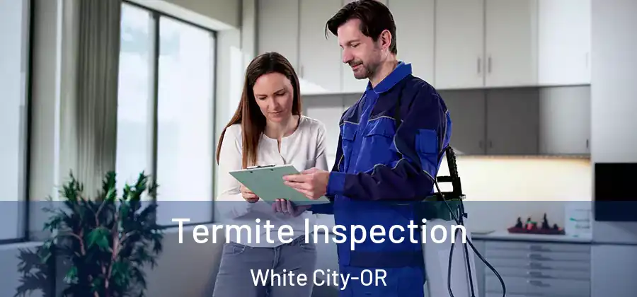 Termite Inspection White City-OR
