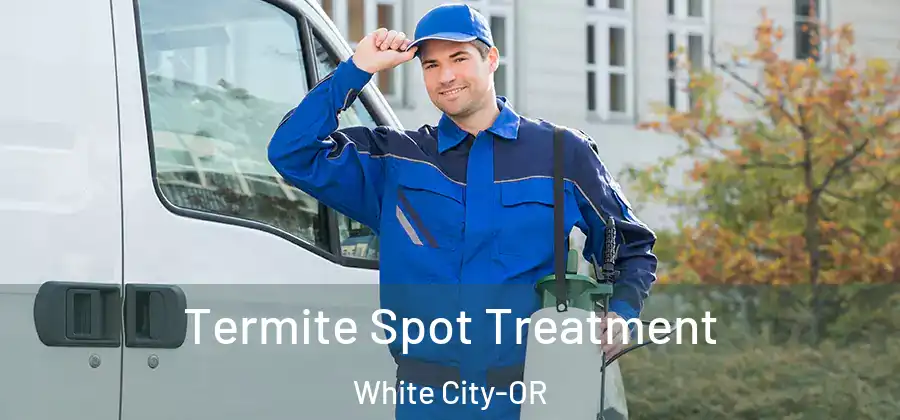 Termite Spot Treatment White City-OR