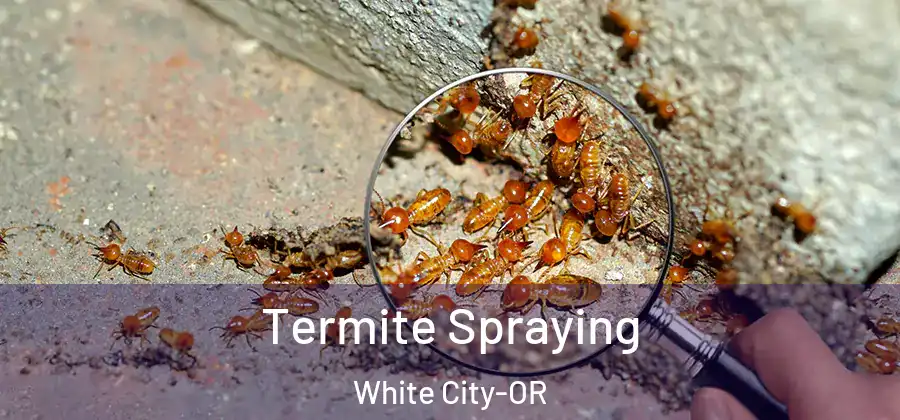 Termite Spraying White City-OR