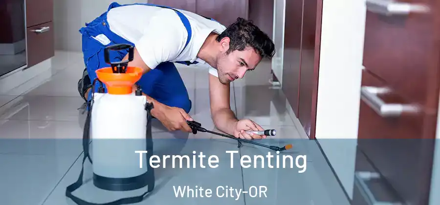 Termite Tenting White City-OR