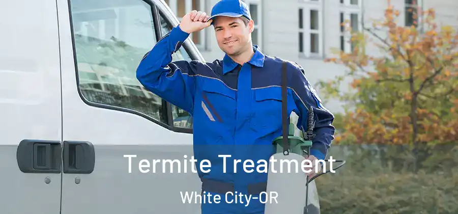 Termite Treatment White City-OR