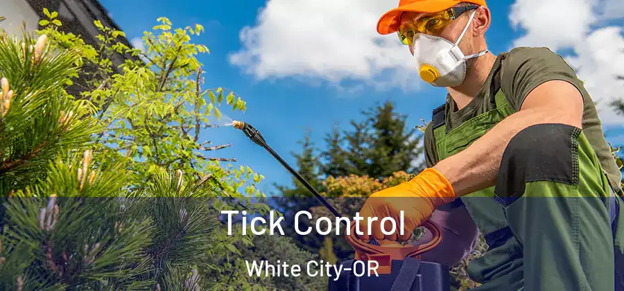 Tick Control White City-OR